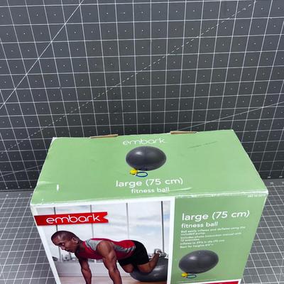 Large New Fitness Ball 