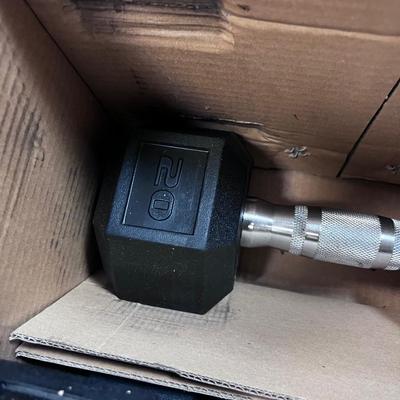 30 and 20 Pound NEW SET OF DUMBBELLS 