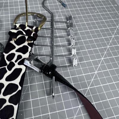 Large Lot of Belts with the Nice Hanger