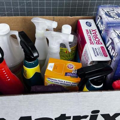 Box of Used and Opened Cleaning Products
