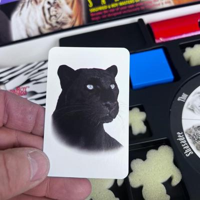 Siegfried & Roy 12 - Trick Magic Set