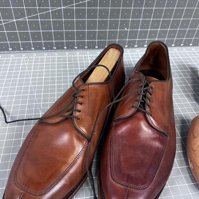 Allen Edmonds Brown Delray with Shoe Tree included 