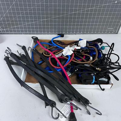Straps and Bungies 