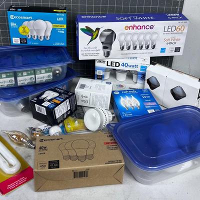 All Light Bulbs