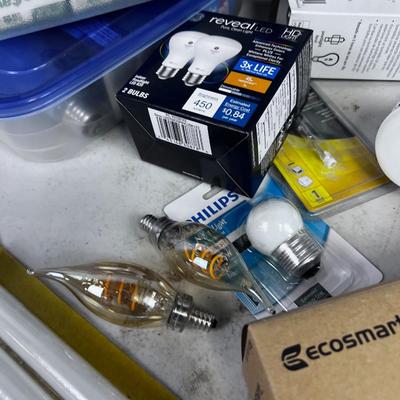 All Light Bulbs