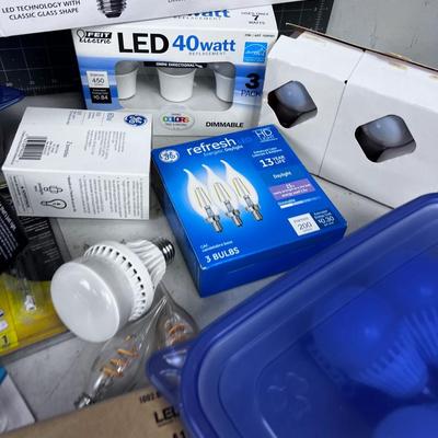 All Light Bulbs