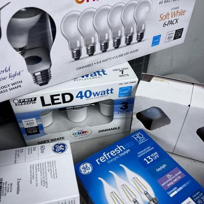 All Light Bulbs