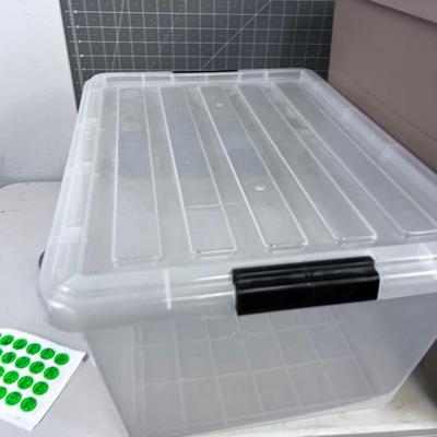 2 Storage Tubs with Lids; Tan and Clear