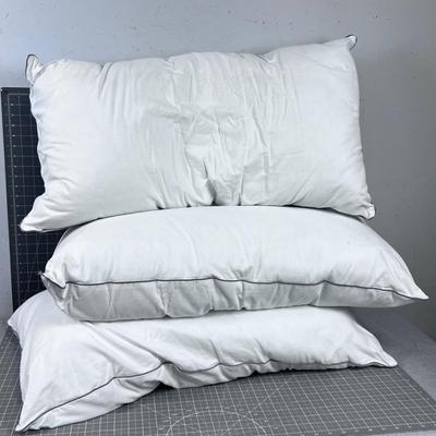 (3) King Size Pillow 