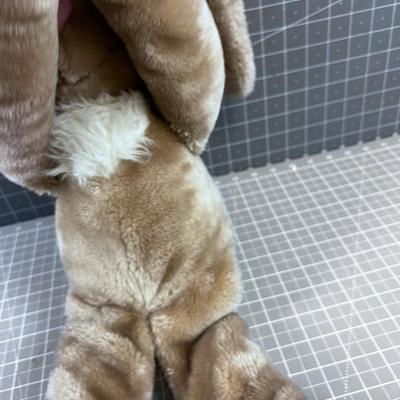 Wallace the Rabbit 