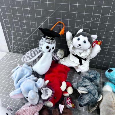 15 Beanie Babies - WOW~!!! 