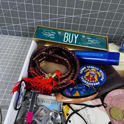 Tray Full of Oddities and Curiosities