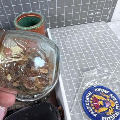 Tray Full of Oddities and Curiosities