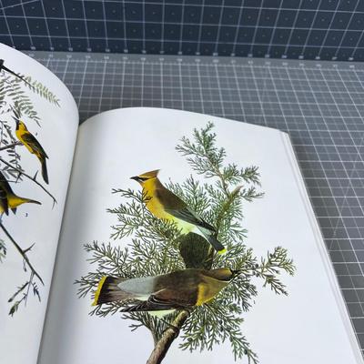 BIRDS OF AMERICA by J.J. Audubon