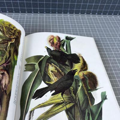 BIRDS OF AMERICA by J.J. Audubon