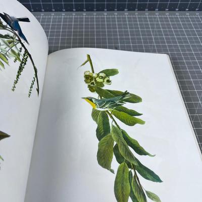 BIRDS OF AMERICA by J.J. Audubon