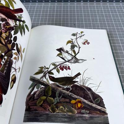 BIRDS OF AMERICA by J.J. Audubon