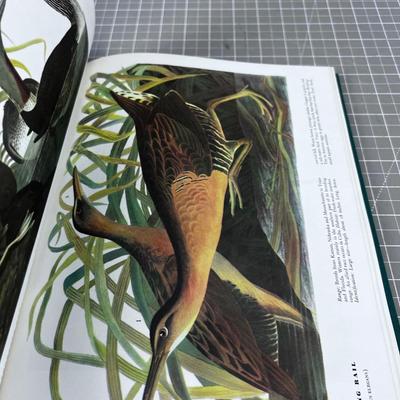 BIRDS OF AMERICA by J.J. Audubon