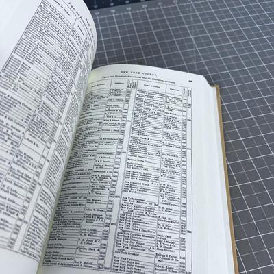 1860 Gazetteer of New York, Great Genealogy Material