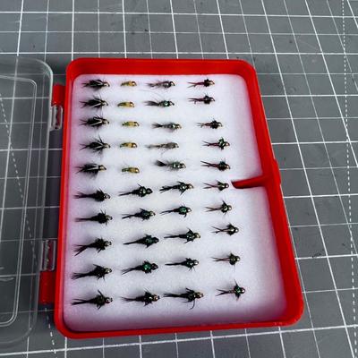 Small Box of NYMPH Fly's 
