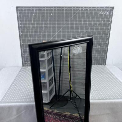 Door Mirror Black 