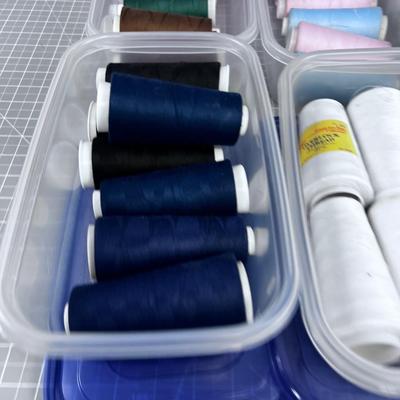 Lot of Threads NEW 