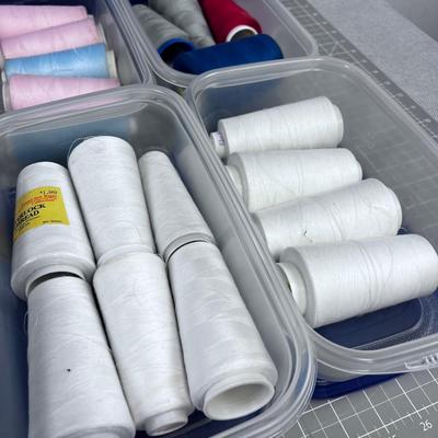 Lot of Threads NEW 