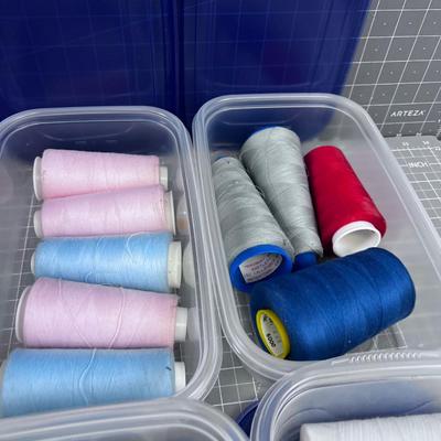 Lot of Threads NEW 