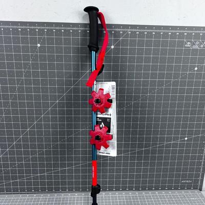 Black Diamond Walking Stick Only one 