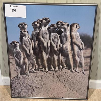 Lot# 134 Framed Meerkats Art