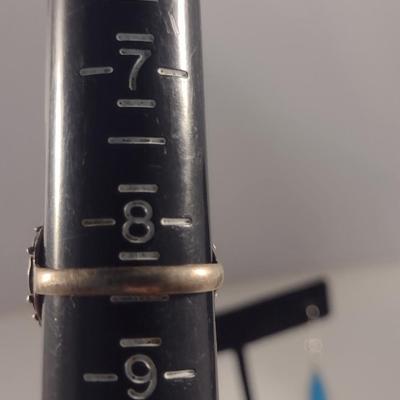 Sterling Silver and Blue Stone Ring and Earrings (#39)