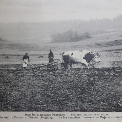1917, Documents de la Section Photographique de L' Armee Francaise