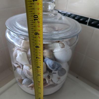 Large Jar Of Sea Shells