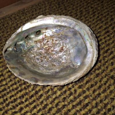 shell
