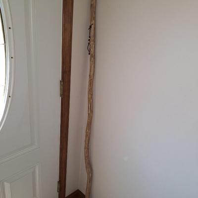 lg walking stick