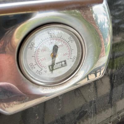 Weber Gas Grill