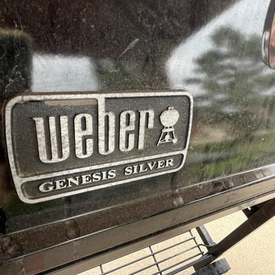 Weber Gas Grill
