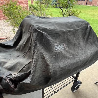 Weber Gas Grill