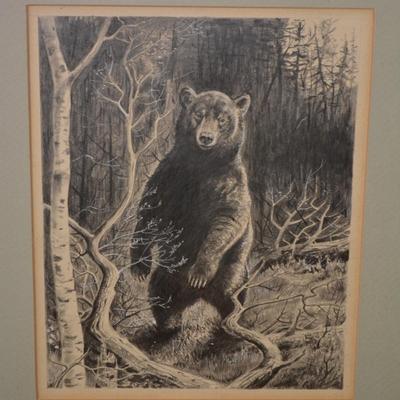 Framed & Matted Bear Pencil Drawing Possibly Original 16.25”x14.25”