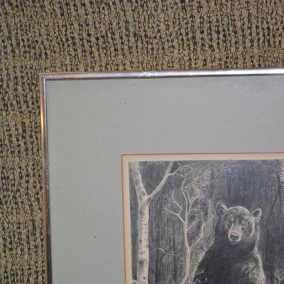 Framed & Matted Bear Pencil Drawing Possibly Original 16.25”x14.25”