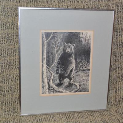 Framed & Matted Bear Pencil Drawing Possibly Original 16.25”x14.25”