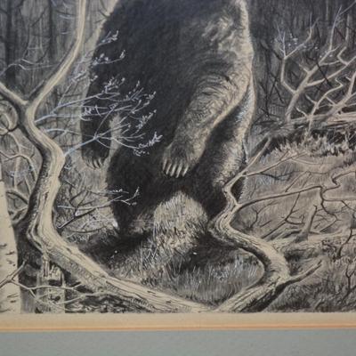 Framed & Matted Bear Pencil Drawing Possibly Original 16.25”x14.25”