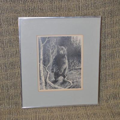 Framed & Matted Bear Pencil Drawing Possibly Original 16.25”x14.25”