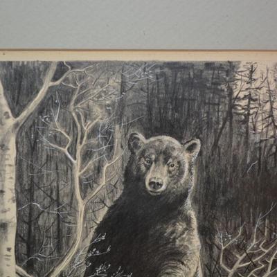Framed & Matted Bear Pencil Drawing Possibly Original 16.25”x14.25”