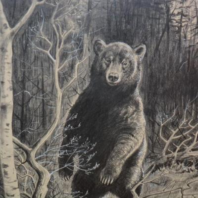Framed & Matted Bear Pencil Drawing Possibly Original 16.25”x14.25”