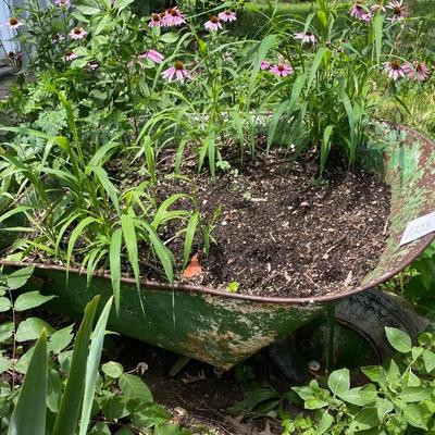 Wheel Barrow Flower Pot