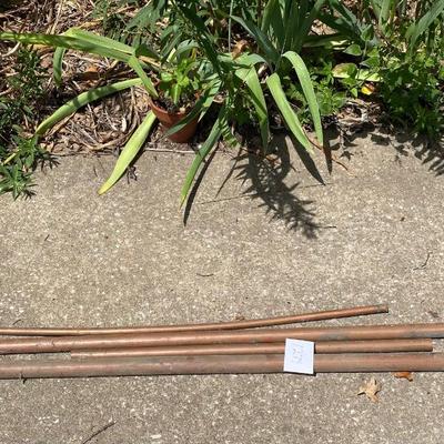 Copper Pipe