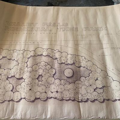 Valley Falls Memorial Tree Park Plans