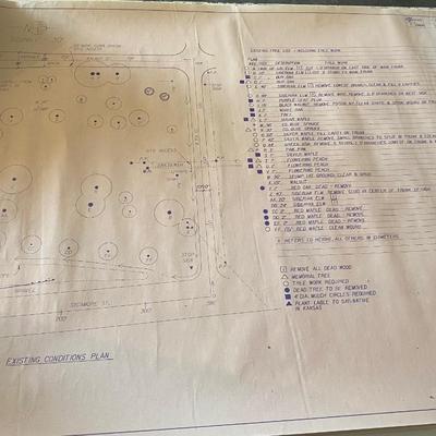 Valley Falls Memorial Tree Park Plans