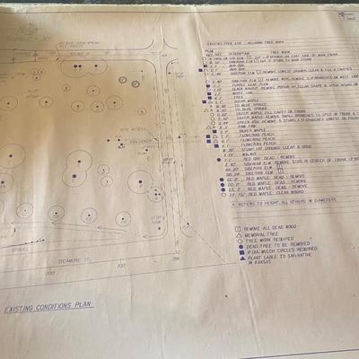 Valley Falls Memorial Tree Park Plans